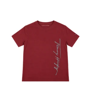 Camiseta Diseño Tommy Hilfiger